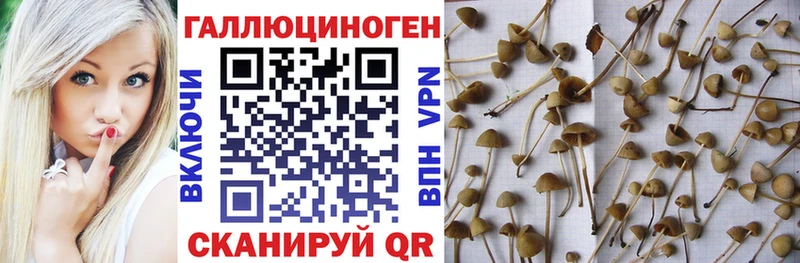 Галлюциногенные грибы GOLDEN TEACHER kraken сайт Зима