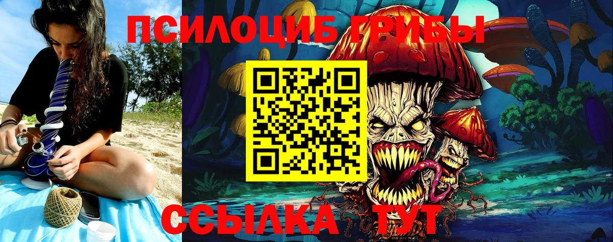 Галлюциногенные грибы Psilocybine cubensis  Вход с VPN  Зима  Галлюциногенные грибы Psilocybine cubensis 