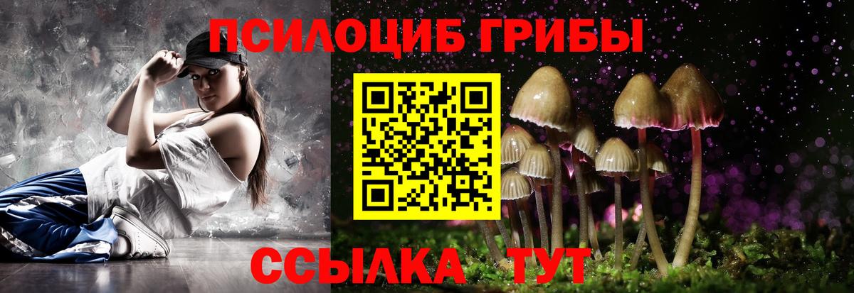 Галлюциногенные грибы Psilocybe  Зима 