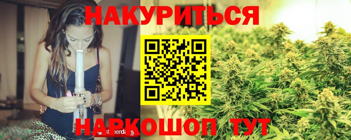 Конопля планчик Зима